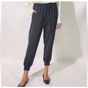 Aritzia Wilfred Buffon Jogger Pants